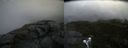 ./images/calvert/buxton2/20190725/buxton220190725_120502M.jpg