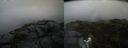 ./images/calvert/buxton2/20190725/buxton220190725_123502M.jpg