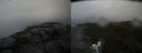 ./images/calvert/buxton2/20190725/buxton220190725_132950M.jpg