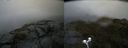 ./images/calvert/buxton2/20190725/buxton220190725_135503M.jpg