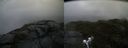 ./images/calvert/buxton2/20190725/buxton220190725_143502M.jpg