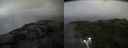./images/calvert/buxton2/20190725/buxton220190725_145502M.jpg
