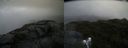 ./images/calvert/buxton2/20190726/buxton220190726_075502M.jpg
