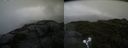 ./images/calvert/buxton2/20190726/buxton220190726_080503M.jpg