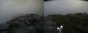 ./images/calvert/buxton2/20190726/buxton220190726_081003M.jpg