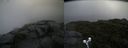 ./images/calvert/buxton2/20190726/buxton220190726_082003M.jpg