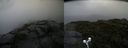 ./images/calvert/buxton2/20190726/buxton220190726_082503M.jpg