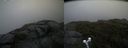 ./images/calvert/buxton2/20190726/buxton220190726_084003M.jpg