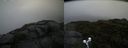 ./images/calvert/buxton2/20190726/buxton220190726_084503M.jpg