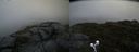 ./images/calvert/buxton2/20190726/buxton220190726_091502M.jpg