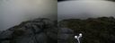 ./images/calvert/buxton2/20190726/buxton220190726_093502M.jpg