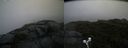 ./images/calvert/buxton2/20190726/buxton220190726_094502M.jpg