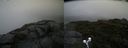 ./images/calvert/buxton2/20190726/buxton220190726_095502M.jpg