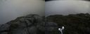 ./images/calvert/buxton2/20190726/buxton220190726_102502M.jpg
