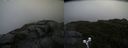 ./images/calvert/buxton2/20190726/buxton220190726_104002M.jpg