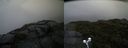 ./images/calvert/buxton2/20190726/buxton220190726_105003M.jpg
