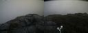 ./images/calvert/buxton2/20190726/buxton220190726_111503M.jpg