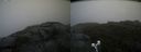 ./images/calvert/buxton2/20190726/buxton220190726_113503M.jpg