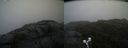 ./images/calvert/buxton2/20190726/buxton220190726_122002M.jpg