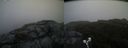 ./images/calvert/buxton2/20190726/buxton220190726_201503M.jpg