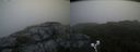 ./images/calvert/buxton2/20190726/buxton220190726_202002M.jpg