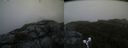 ./images/calvert/buxton2/20190726/buxton220190726_202502M.jpg
