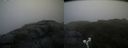 ./images/calvert/buxton2/20190727/buxton220190727_071003M.jpg