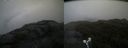 ./images/calvert/buxton2/20190727/buxton220190727_092503M.jpg