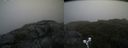 ./images/calvert/buxton2/20190727/buxton220190727_095503M.jpg
