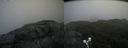 ./images/calvert/buxton2/20190727/buxton220190727_113502M.jpg
