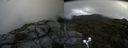 ./images/calvert/buxton2/20190727/buxton220190727_122503M.jpg