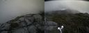 ./images/calvert/buxton2/20190727/buxton220190727_132503M.jpg