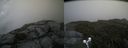 ./images/calvert/buxton2/20190727/buxton220190727_134002M.jpg