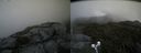 ./images/calvert/buxton2/20190727/buxton220190727_134502M.jpg