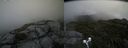 ./images/calvert/buxton2/20190727/buxton220190727_135502M.jpg