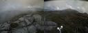 ./images/calvert/buxton2/20190727/buxton220190727_151003M.jpg