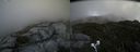 ./images/calvert/buxton2/20190727/buxton220190727_151503M.jpg