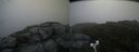 ./images/calvert/buxton2/20190728/buxton220190728_065503M.jpg