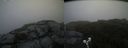 ./images/calvert/buxton2/20190728/buxton220190728_074002M.jpg