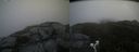 ./images/calvert/buxton2/20190728/buxton220190728_113503M.jpg