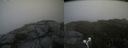 ./images/calvert/buxton2/20190728/buxton220190728_124502M.jpg