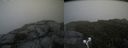 ./images/calvert/buxton2/20190728/buxton220190728_125002M.jpg