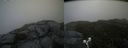 ./images/calvert/buxton2/20190728/buxton220190728_140503M.jpg