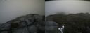 ./images/calvert/buxton2/20190728/buxton220190728_143003M.jpg