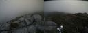 ./images/calvert/buxton2/20190728/buxton220190728_151002M.jpg