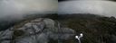 ./images/calvert/buxton2/20190728/buxton220190728_153502M.jpg
