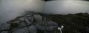 ./images/calvert/buxton2/20190729/buxton220190729_103003M.jpg