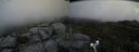 ./images/calvert/buxton2/20190729/buxton220190729_105003M.jpg