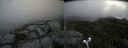 ./images/calvert/buxton2/20190729/buxton220190729_112503M.jpg
