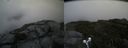./images/calvert/buxton2/20190729/buxton220190729_123502M.jpg